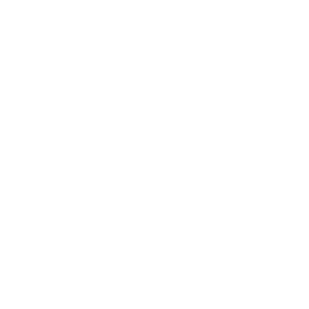 Bonzer